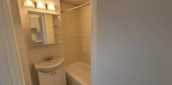 À louer – 3 ½ (chambre ouverte) au Plateau-Mont-Royal – 1 290 $/mois – Disponible maintenant; For Rent – 3½ (open room) in Plateau Mont-Royal - Photo 2