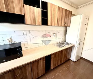 Apartament cu o camera de inchiriat pe Strada Plopilor. Pet Friendly - Photo 2