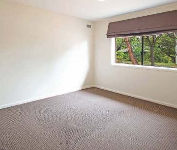 69 Burkitt Street, Page ACT 2614 - House For Rent | Domain - Photo 1