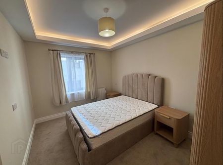 Apt 5, 5 Lower Crescent, Botanic, Belfast, BT7 1NR - Photo 3