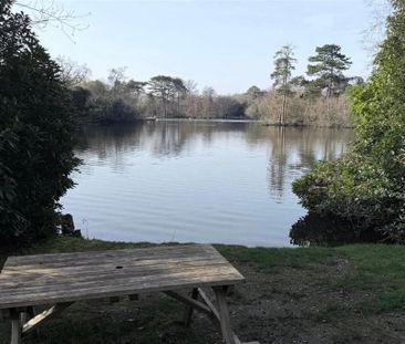 2 bedroom house to rent - Photo 5