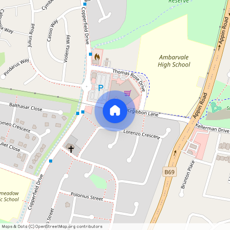 21 Fitzgibbon Lane, Rosemeadow 2560, New South Wales