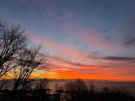 For Lease - 11 Redland Crescent, Toronto, Ontario - Photo 2