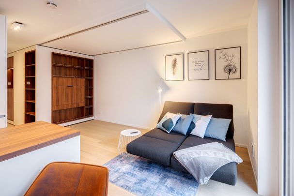 Luxuriously furnished apartment in Maxvorstadt - Photo 1