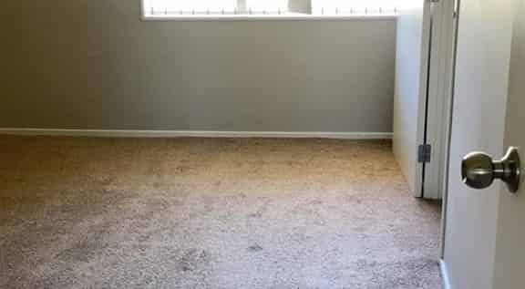 Low Maintenance 3 Bedroom Home in Flat Bush - Photo 1