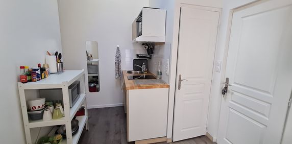 T1 MEUBLE AVEC MEZZANINE, - Photo 2