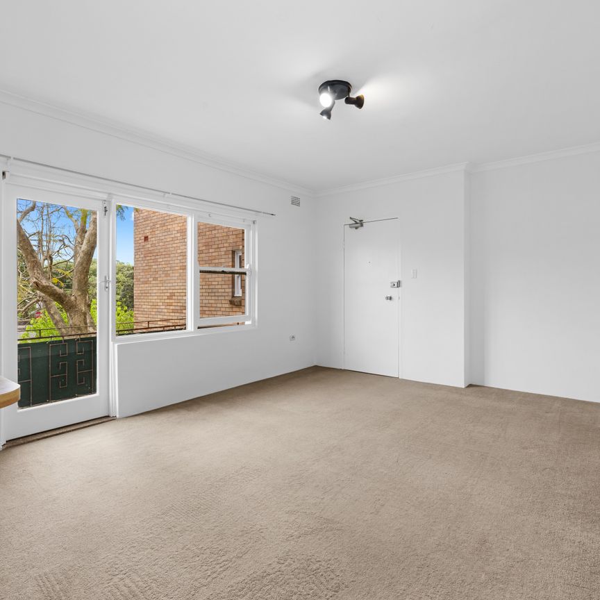 8/2 Clovelly Road, Randwick NSW 2031 - Apartment For Rent | Domain - Photo 1