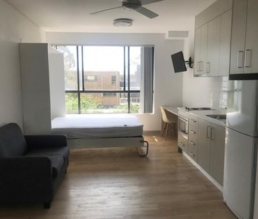 Spacious studio apartment for lease - Photo 2