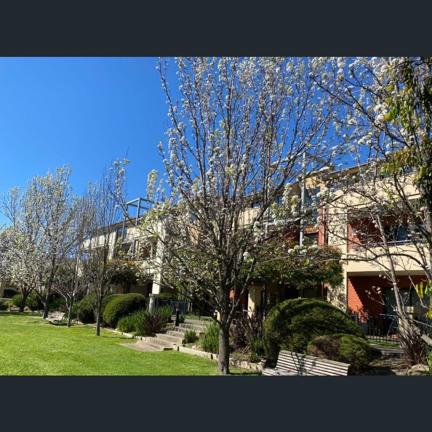 26 Brushbox Court, Clayton, Vic 3168 - Photo 1