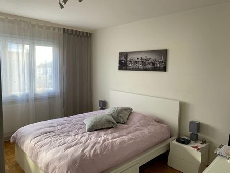 2.5 Zimmer, 55 m², 1. Stock - Foto 2