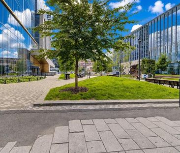 Appartement Ville-Marie (Montréal) À Louer - Photo 2