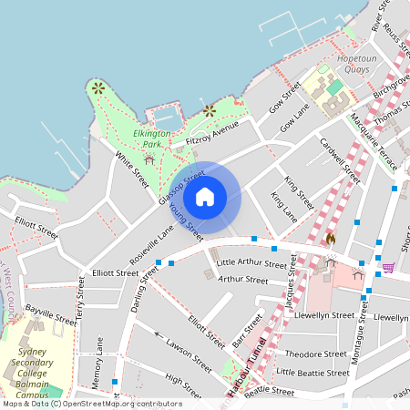 16 Hampton Street, NSW 2041, Balmain