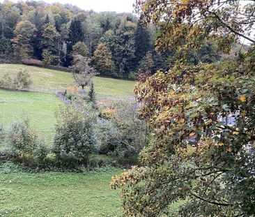 Nice 2.5 room apartment in 8135, Langnau am Albis - Photo 1