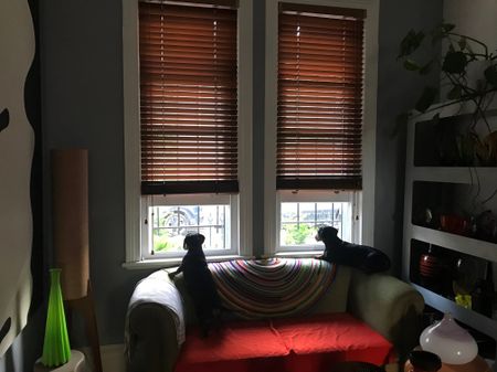 Surry Hills - Photo 2