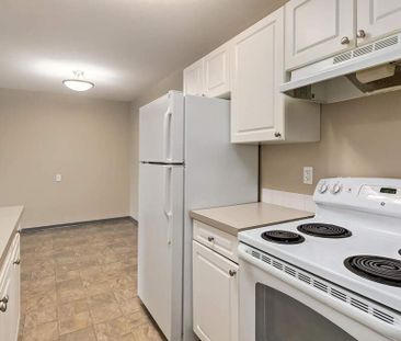 Renovated Suite - 1 Bedroom - Photo 3