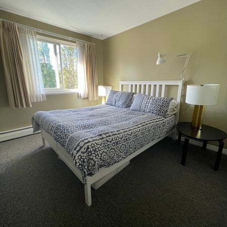 Bright One Bedroom Apartment in South Nanaimo - Photo 2
