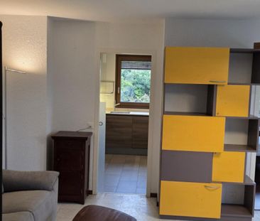 Magnifique 2 pièce meublé avec terrasse de 57m2 à deux min du lac/S... - Photo 3