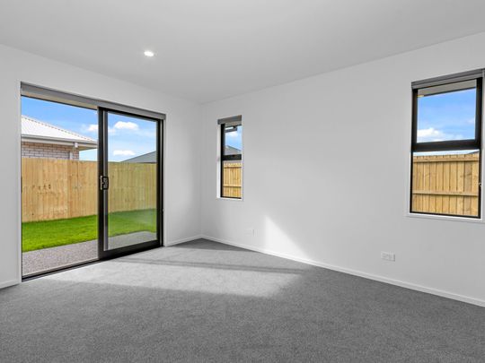 Brand New Executive Home - Photo 1