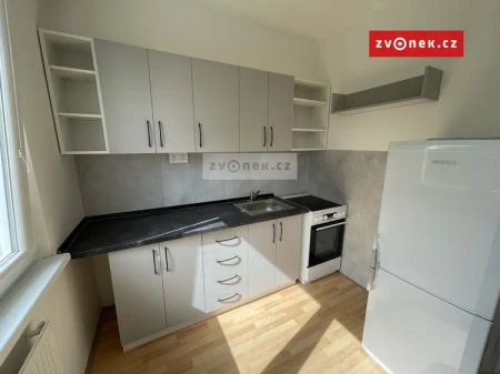 Prostorný 1+1 v 1. etapě JS, rekonstruovaný byt v pěkné a klidné lokalitě - Photo 2