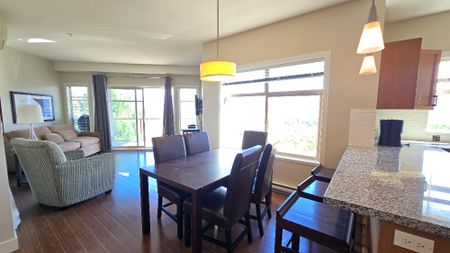 Copper Sky FURNISHED 2 bd, 2 bath condo - Photo 4