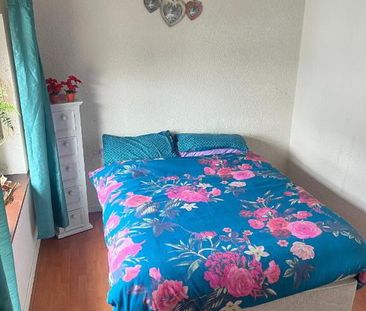 16 Peters Place, Newry, BT35 8EE - Photo 4