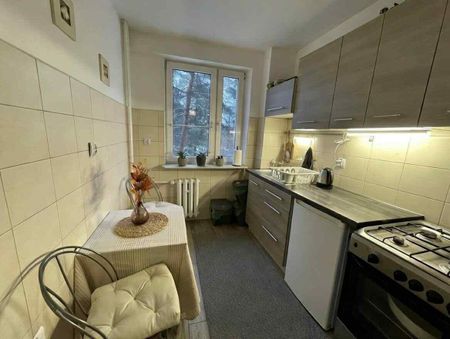 Widok Na Morze Winda Długi Termin Zwierzęta Sopot - Photo 3