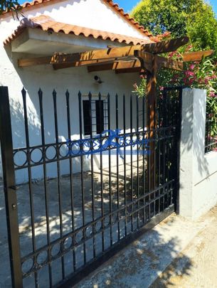 Μονοκατοικία για ενοικίαση Άγιος Παντελεήμονας (Μαραθώνας) - Photo 1