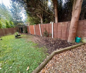 1 bedroom House To Let - Photo 6