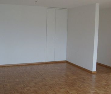 Sur les hauteurs de la Chaux-de-Fonds, ce 4.5 pièces vous attend ! - Foto 5