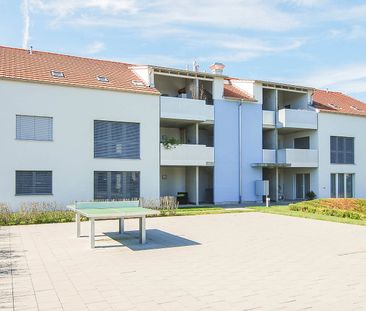 Moderne Single-Wohnung an ruhiger Lage - Photo 5