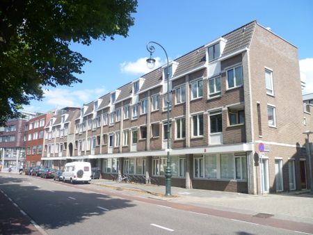 Te huur voor studenten: ruime studio op toplocatie aan de Wittevrouwensingel te Utrecht - Photo 2