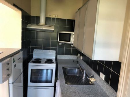 Cute and comfortable in Maori Hill - Available 13/10/2025 - Photo 3