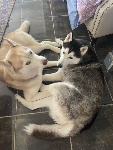 Molendinar - Photo 2