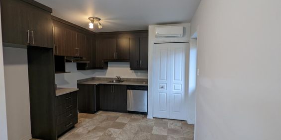 50 Impasse John Roney (Aylmer) Super Appartement 3 1/2 - Photo 3