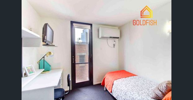 Studio Apartment for rent in Melbourne CBD – Walk to University of Melbourne & RMIT - Photo 1