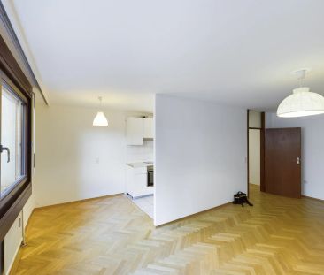 Ruhige Hoflage mit viel Licht - Photo 3