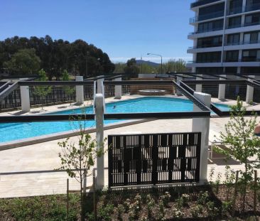 Modern One Bedroom Apartment in the Heart of Phillip - Photo 5