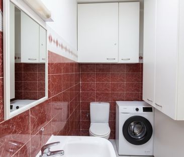 Location Appartement 1 pièce 29m² LE MOULE 97160 - Photo 3