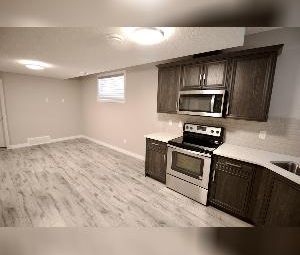 1 Bed 1 Bath Suite Chapelle Edmonton SW - Photo 5