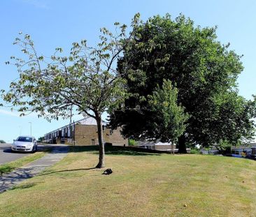 2 bedroom house to rent - Photo 2