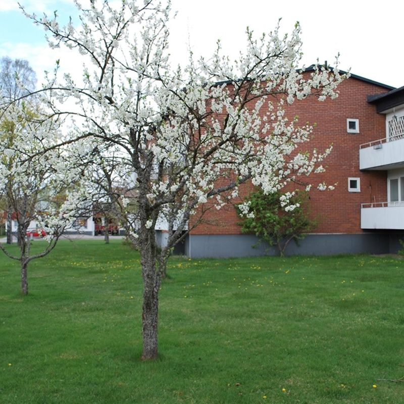 Storgatan 28 B - Photo 1