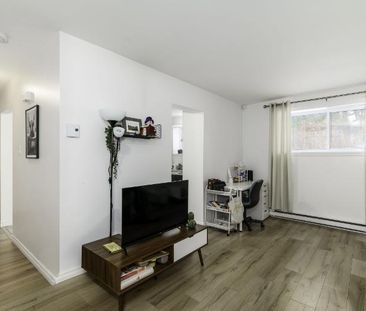 Appartement 3 ½ à louer Lévis juin 2026 - Photo 1