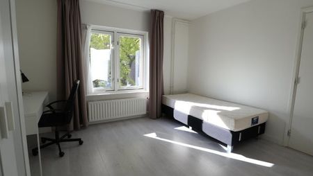 Te huur: Kamer Thomas à Kempislaan in Eindhoven - Foto 3