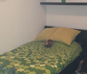 Sockerbruksgatan, Södertälje - Foto 3