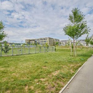 Sonnenterrasse über den Dächern Oberlaa! - Photo 2