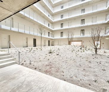 2-Zimmer-Dachgeschosswohnung mit Loggia – Stiege E / Top 7-02 - Foto 2