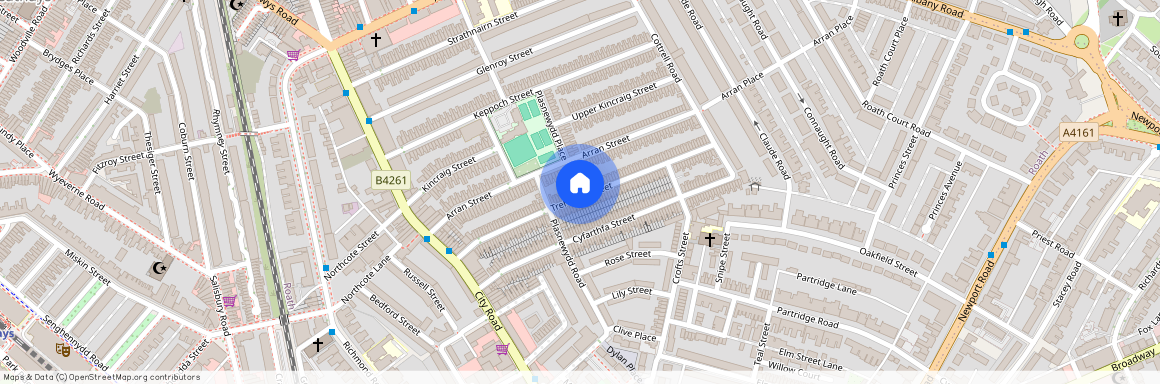 Treharris Street, CF24 3HL, Roath