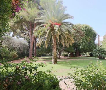 Location Appartement 1 pièce 19m² CANNES 06400 - Photo 5