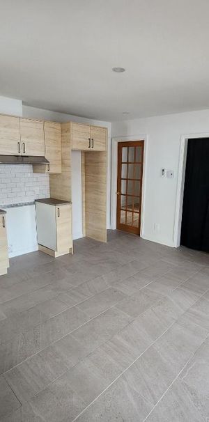 4 1/2 rénové avec cours, Laval, Sainte-Dorothée - Photo 1