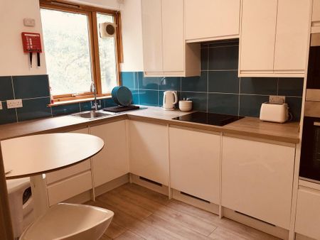 1 bedroom in a flat share to rent - Photo 3